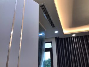 miệng gió dài liner